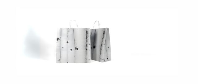 Papiertaschen - Embacollage - Birch