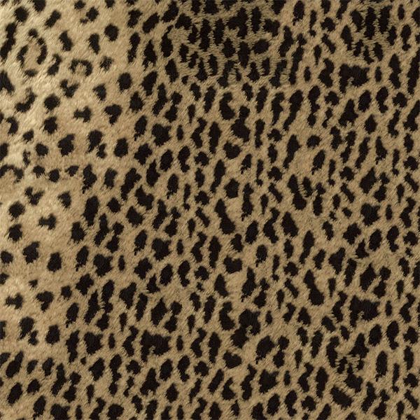 Geschenkpapier Leopard 55cm