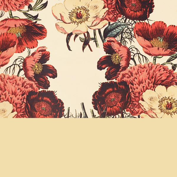 Geschenkpapier 3710 55 cm Berries Cream