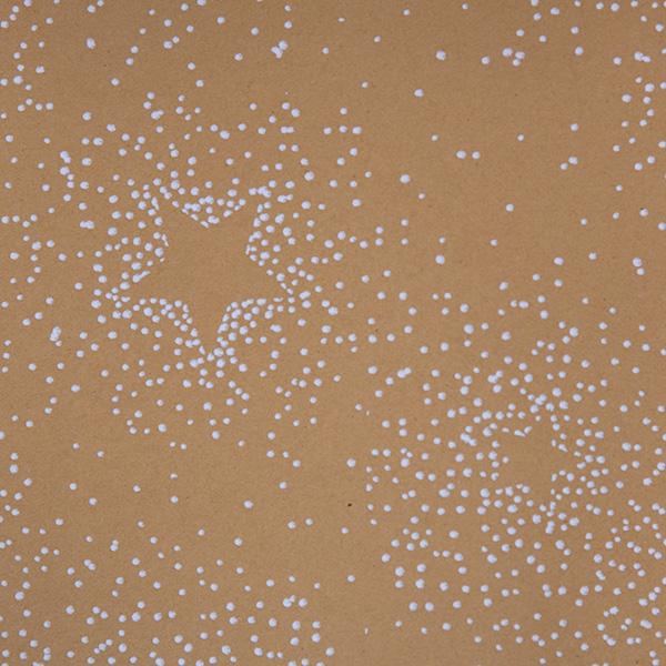 Papier 6220 Starry Snowfall (94 EUR)