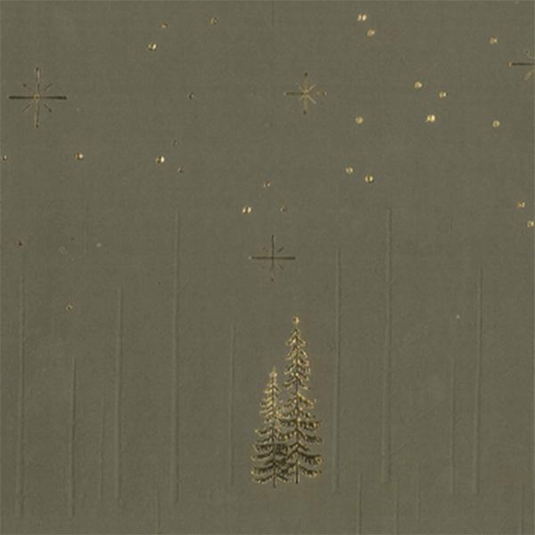 Weihnachtsgeschenkpapier 6483 Green Forrest Star Night 55 cm