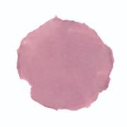Alt_1