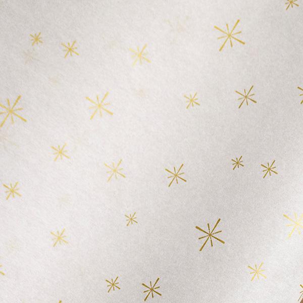 Seidenpapier DOT Merry Christmas Weiss/Gold 50x75cm