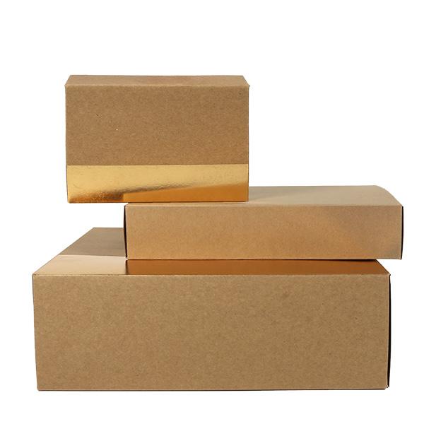 Box mit Deckel 2020 Medium 28x18x6cm